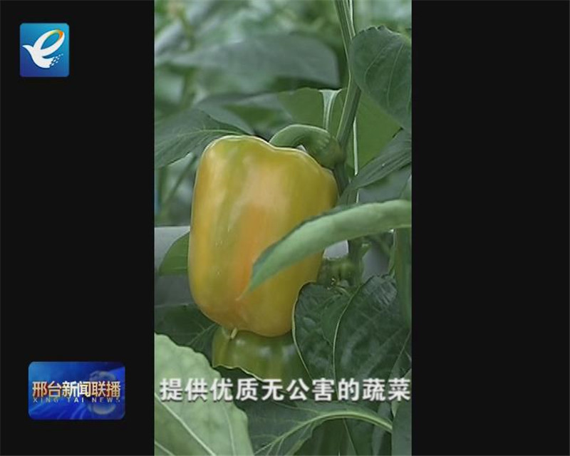 戰(zhàn)“疫”微面孔：再出發(fā)，每個(gè)人都是最亮的星